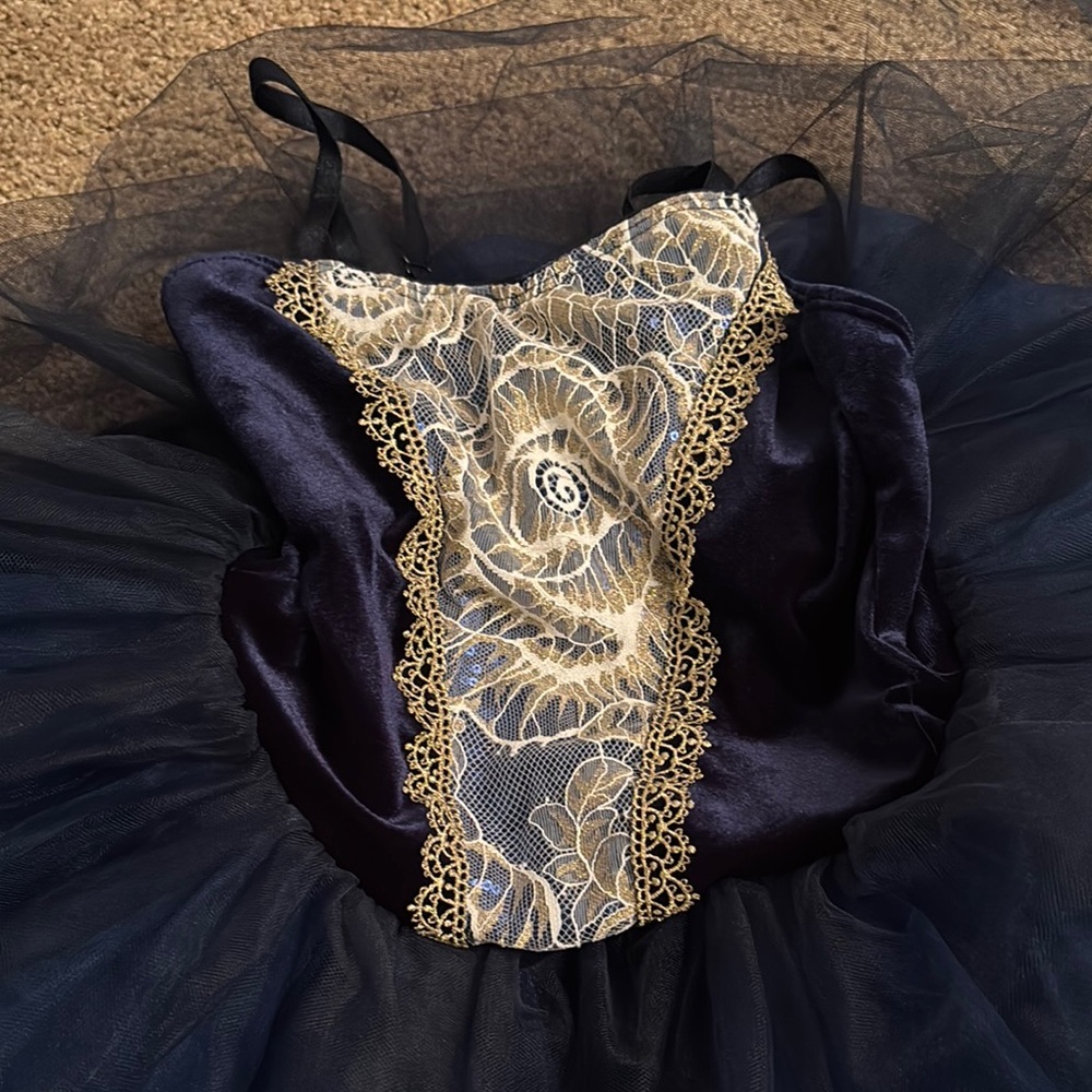 Elegant Navy and Gold Lace Tulle Costume Dress child Medium